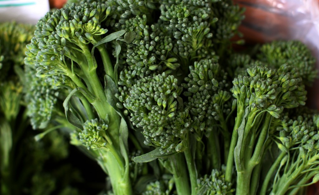 BROCOLLI02