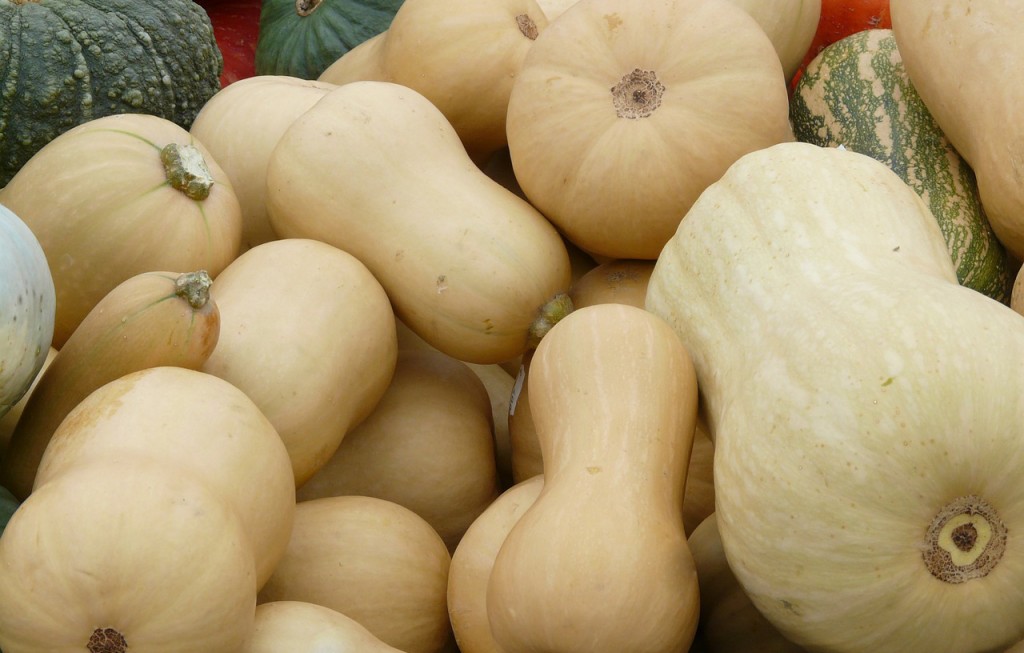 winter squash butternut