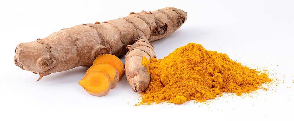 Turmeric Curcuma longa roots