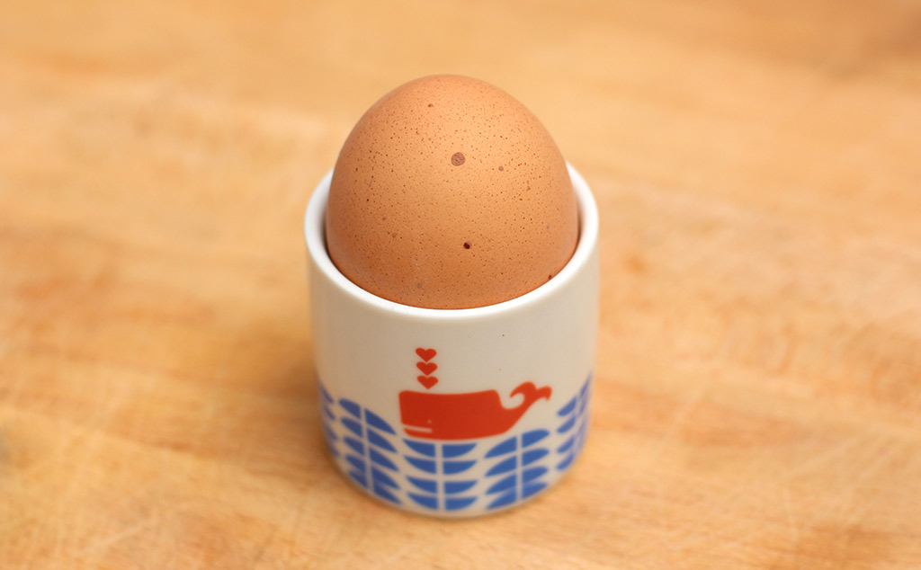 EGG-SHOT