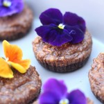 Rawsome chocolate cupcakes