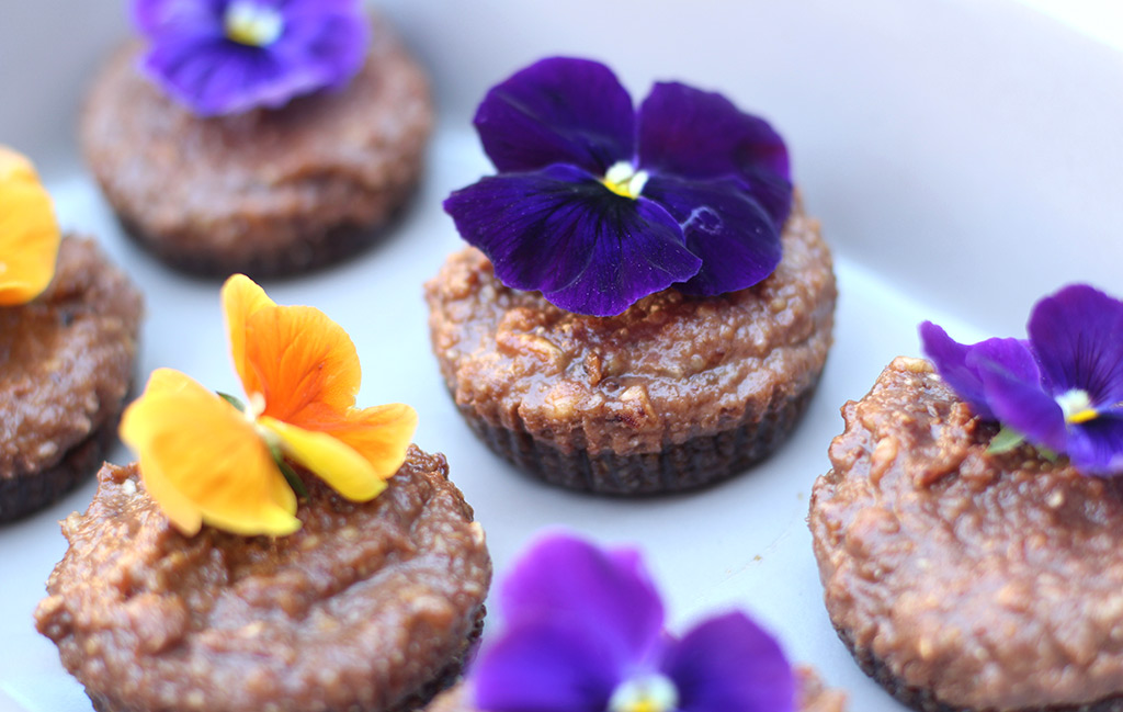 RAWSOME-CUPCAKES-2
