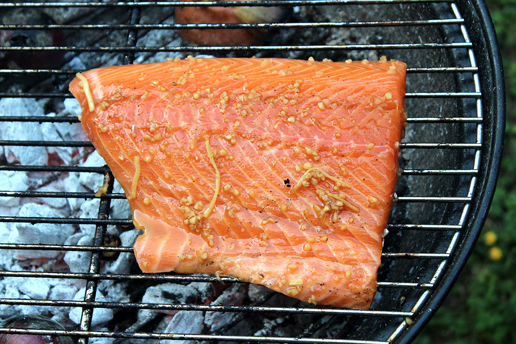 SALMON-BBQ